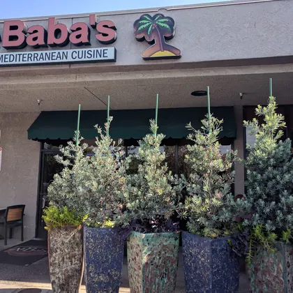 Ali Baba Restaurant, business photo 2